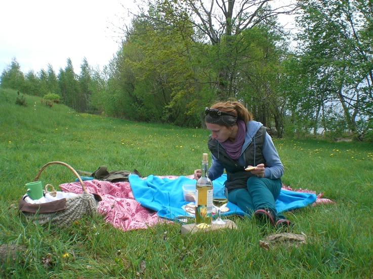 Piknik, a gdzie pies?