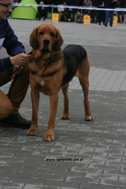 Ruczaj.