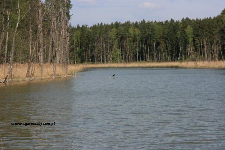 spacerowaliśmy