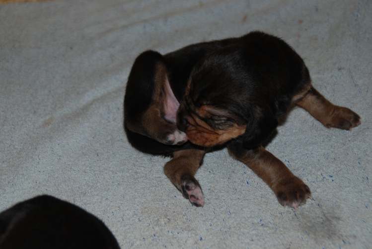 DSC_0007.JPG