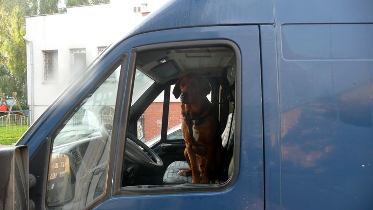 P1110688jedziemy na ryby.jpg