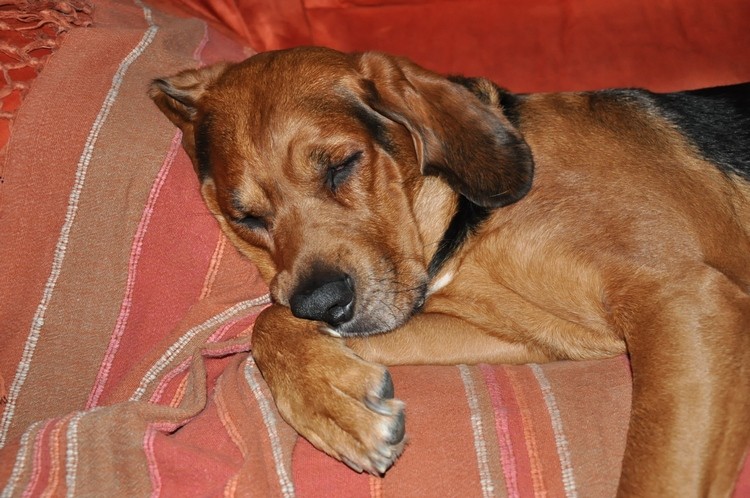 DSC_1130 B.jpg