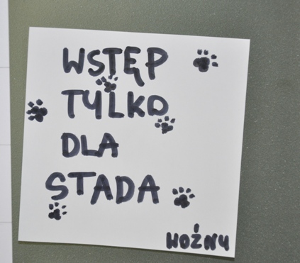 TO JEST MÓJ ULUBIENIEC. Stadem jesteśmy my i dzieci oczywiście.