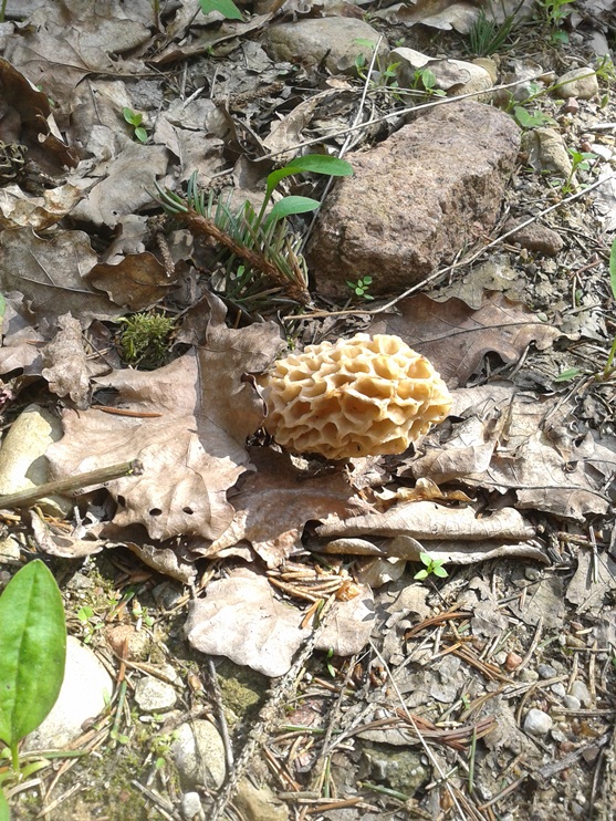 20140514_144516.jpg