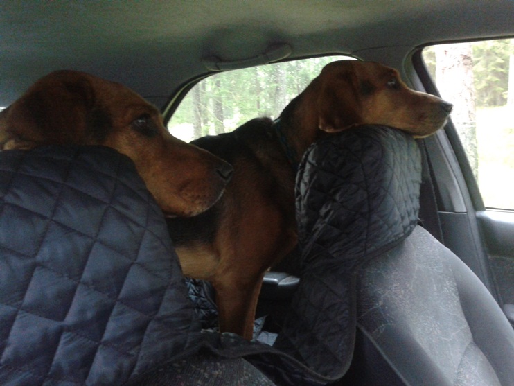 20140501_162004.jpg