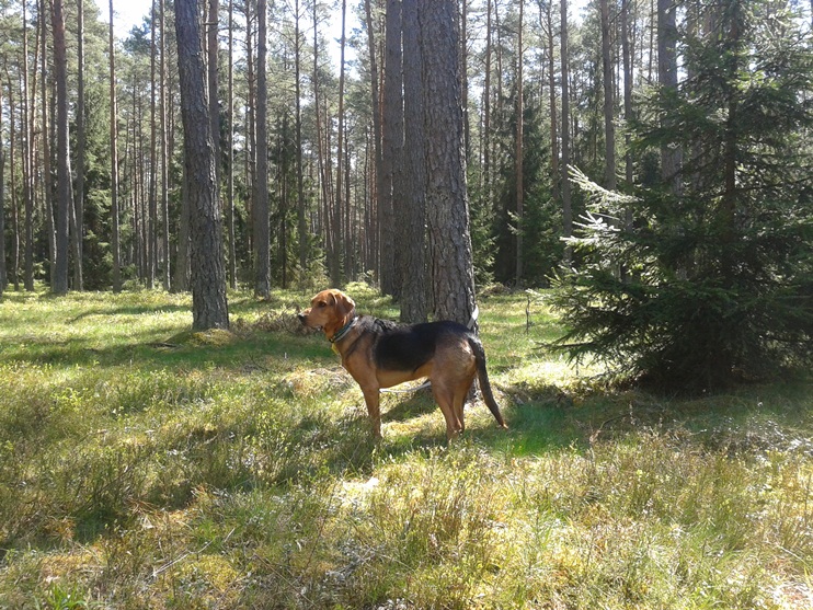 20140428_121336.jpg