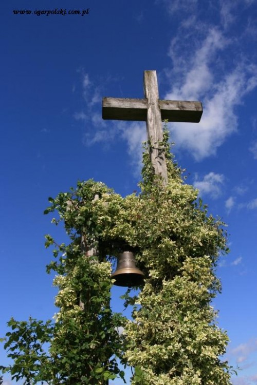 wojsławice 004.jpg