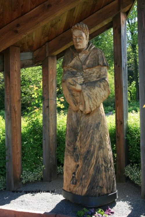 wojsławice 005.jpg