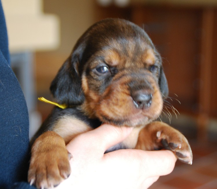 DSC_0138.JPG