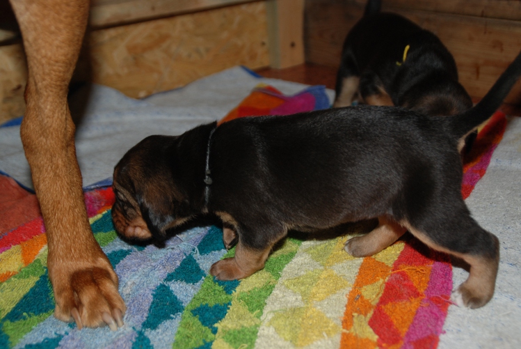 DSC_0081.JPG