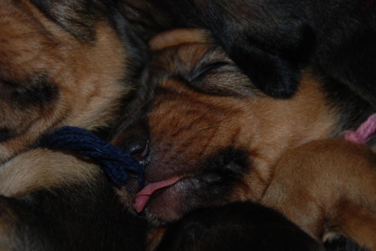 DSC_0048.JPG