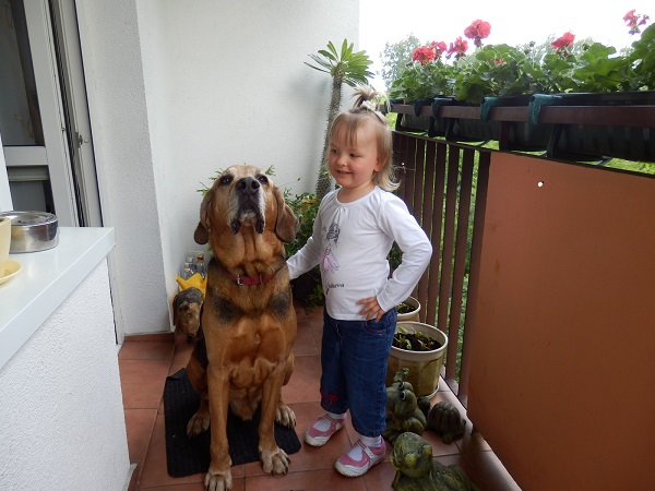 P1010005.jpg