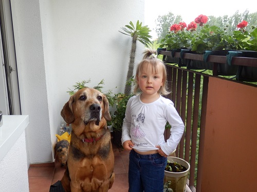 P1010007.jpg