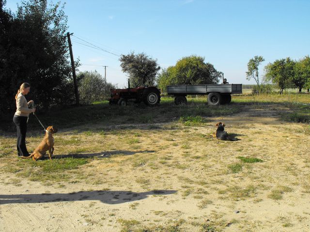 czarnolas6.JPG