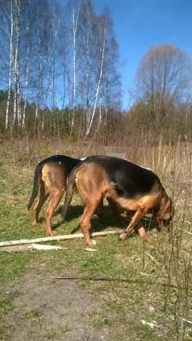 WP_20140402_073.jpg