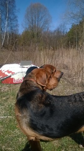 WP_20140402_107.jpg