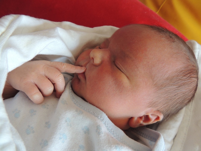 DSCN5455.JPG