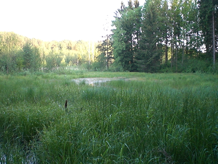 CIMG0506.JPG