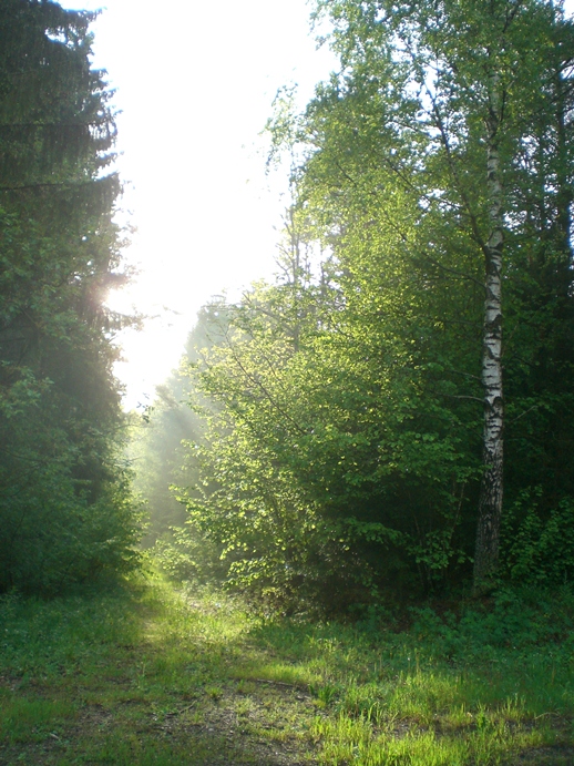 CIMG0476.JPG