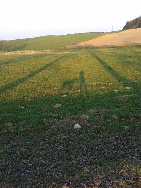 20140419_183811.jpg