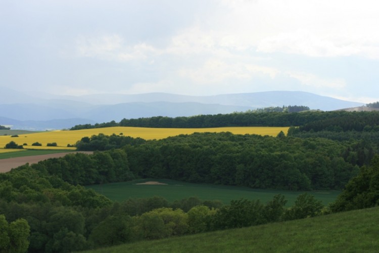 Było trochę żółtawo,