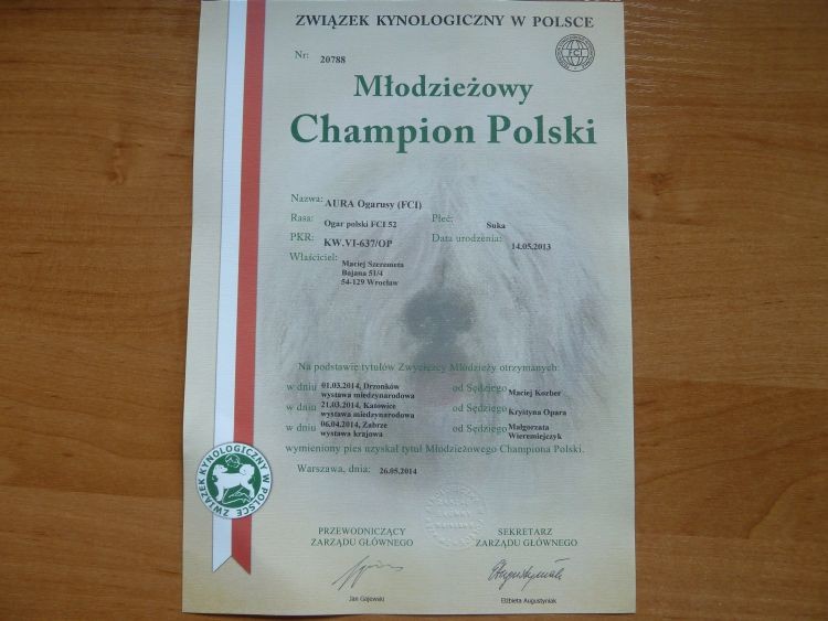 P1040003.jpg