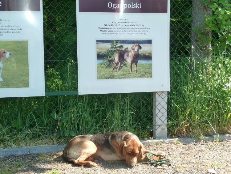 czekamy we właściwym miejscu
