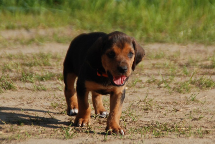 DSC_0061.JPG