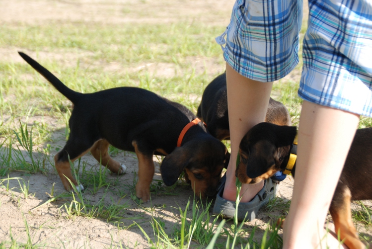 DSC_0066.JPG