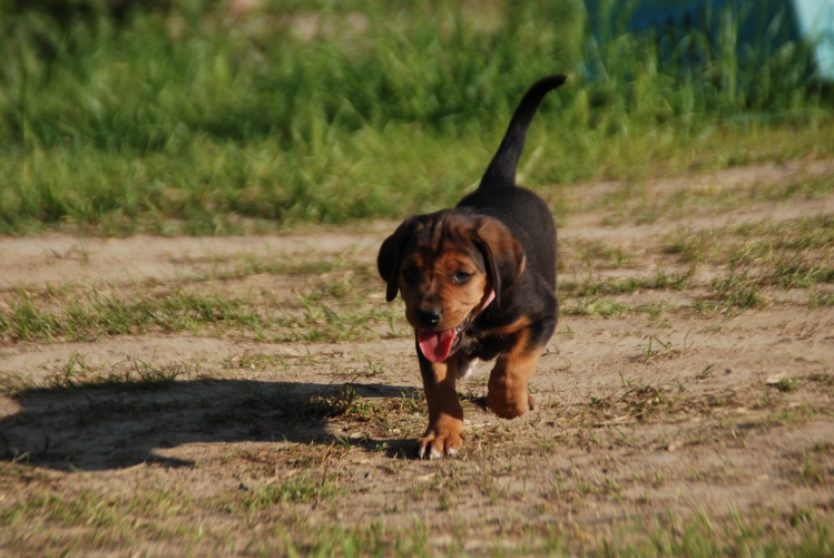 DSC_0056.JPG