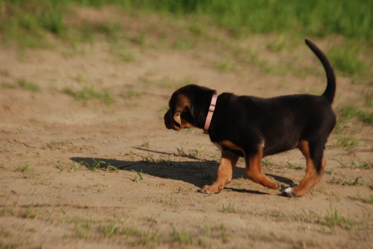 DSC_0088.JPG