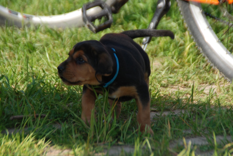 DSC_0026.JPG