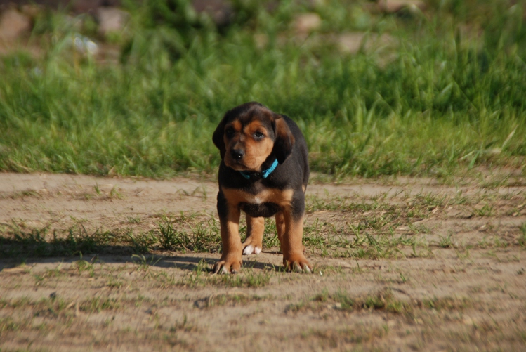 DSC_0048.JPG