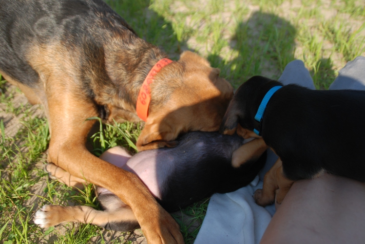 DSC_0055.JPG