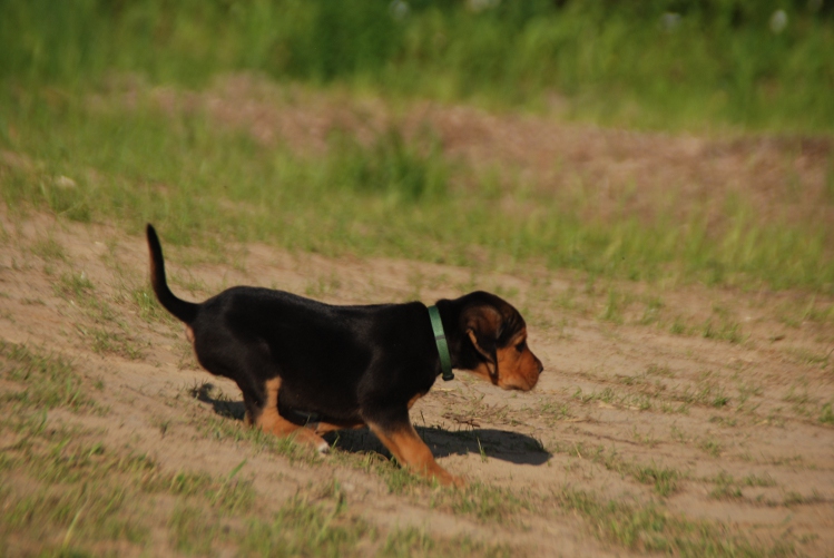 DSC_0141.JPG