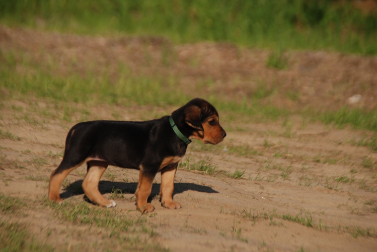 DSC_0143.JPG