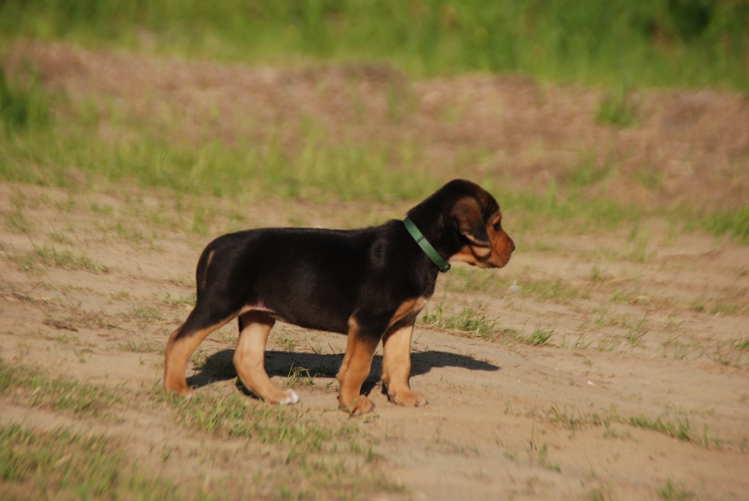 DSC_0144.JPG