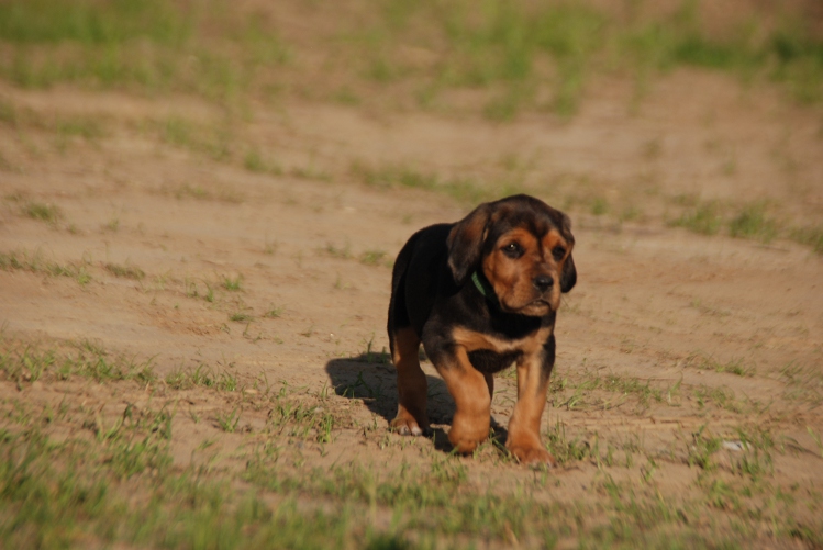 DSC_0145.JPG