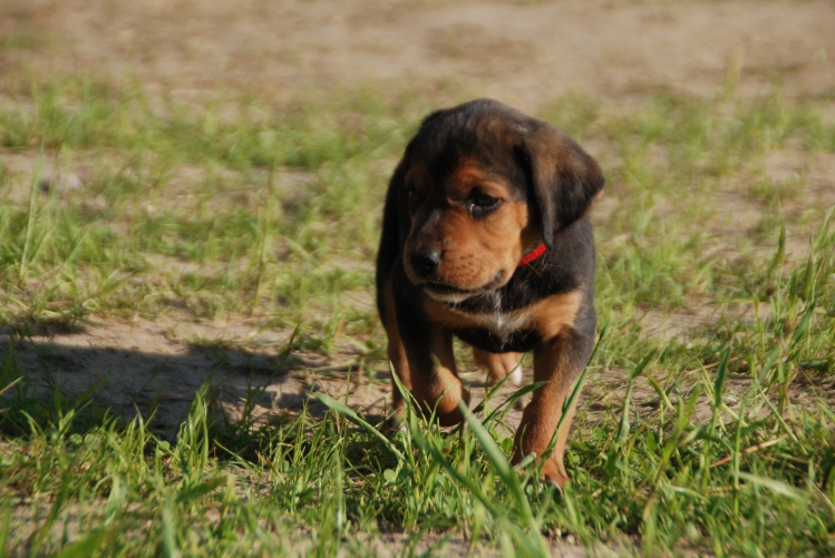 DSC_0040.JPG
