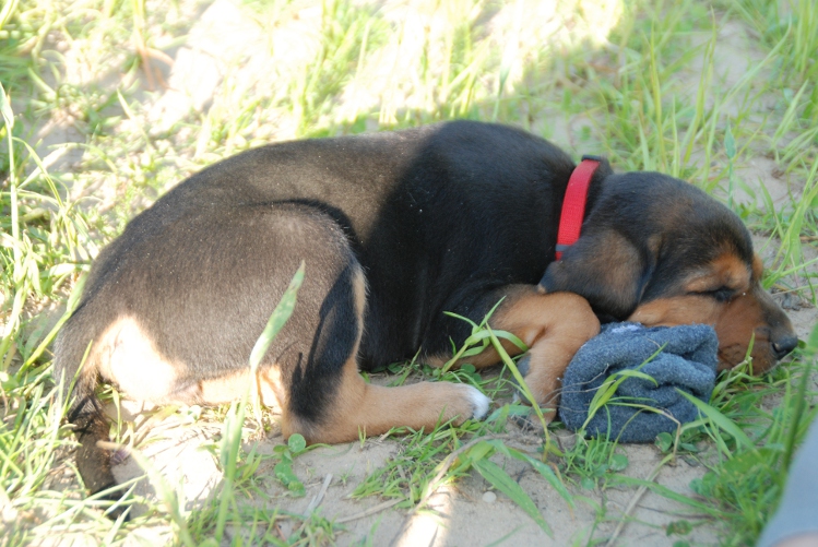 DSC_0131.JPG