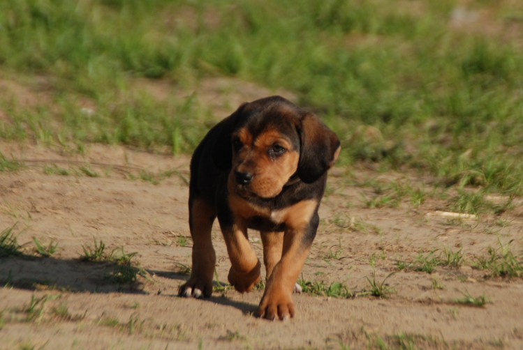 DSC_0104.JPG