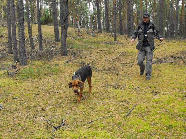 2009_1004tropienie_Stezyca_11.JPG