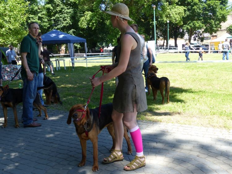 P1000358.jpg