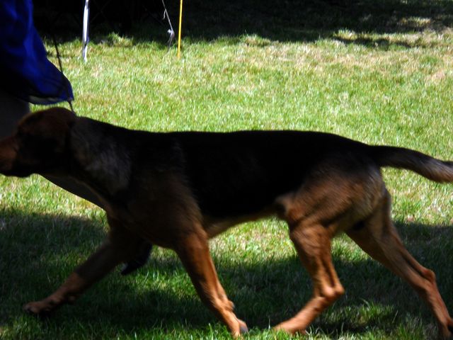 SAM_6289.JPG