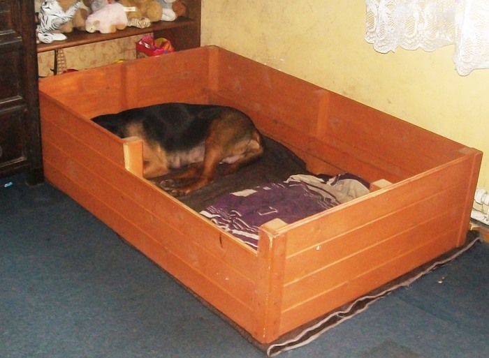Aksunia 015.jpg