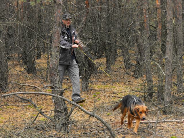2009_1004tropienie_Stezyca_16.JPG