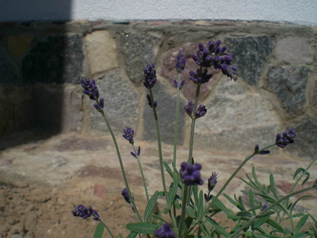 CIMG0504.JPG