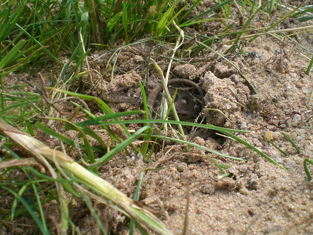CIMG0485.JPG