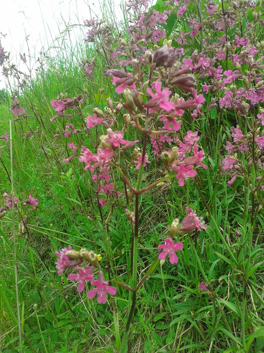 20140606_170858.jpg