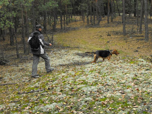 2009_1004tropienie_Stezyca_20.JPG